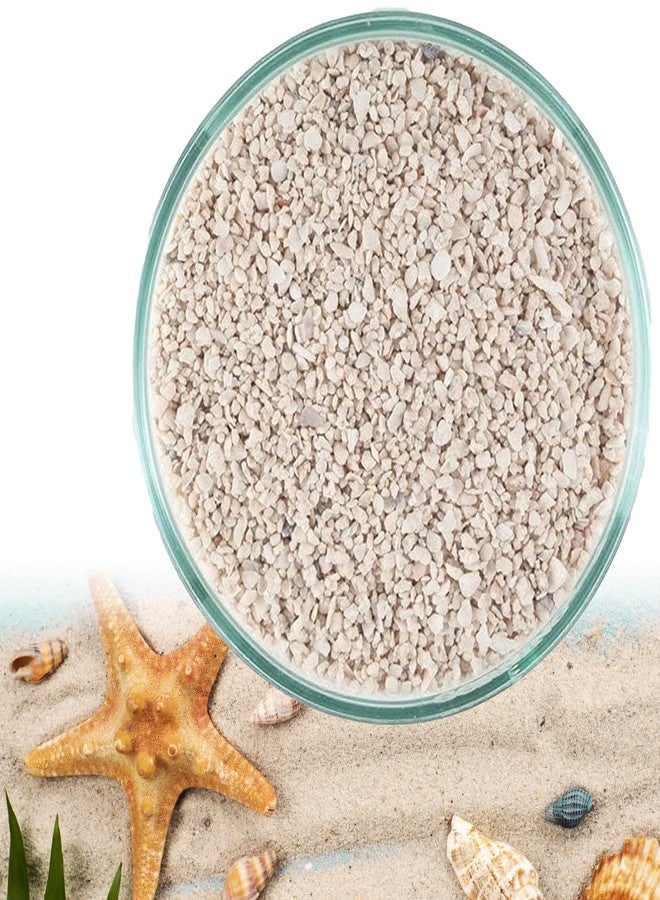 رمل أراغونيت أبيض من فاييناتو بيتزلايف وورلد (1 كجم) لأحواض السمك - ركيزة طبيعية لأحواض أسماك المياه المالحة والبلطي، رمل لأحواض أسماك المياه العذبة والمالحة لتنظيم درجة الحموضة - Image 1